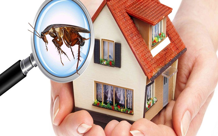 24 Hour Termite & Pest Control for Pest Control in Riverdale, MI